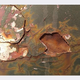 Illustration for article titled 60-Year-Old Chrysler Royal Wont Get Royal Treatment From The Crusher
